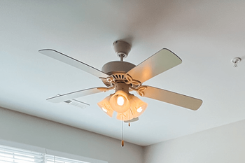 Ceiling fans throughout